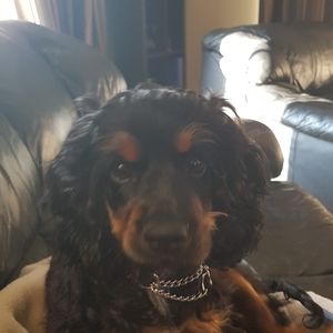 Meet your Posher, Annick